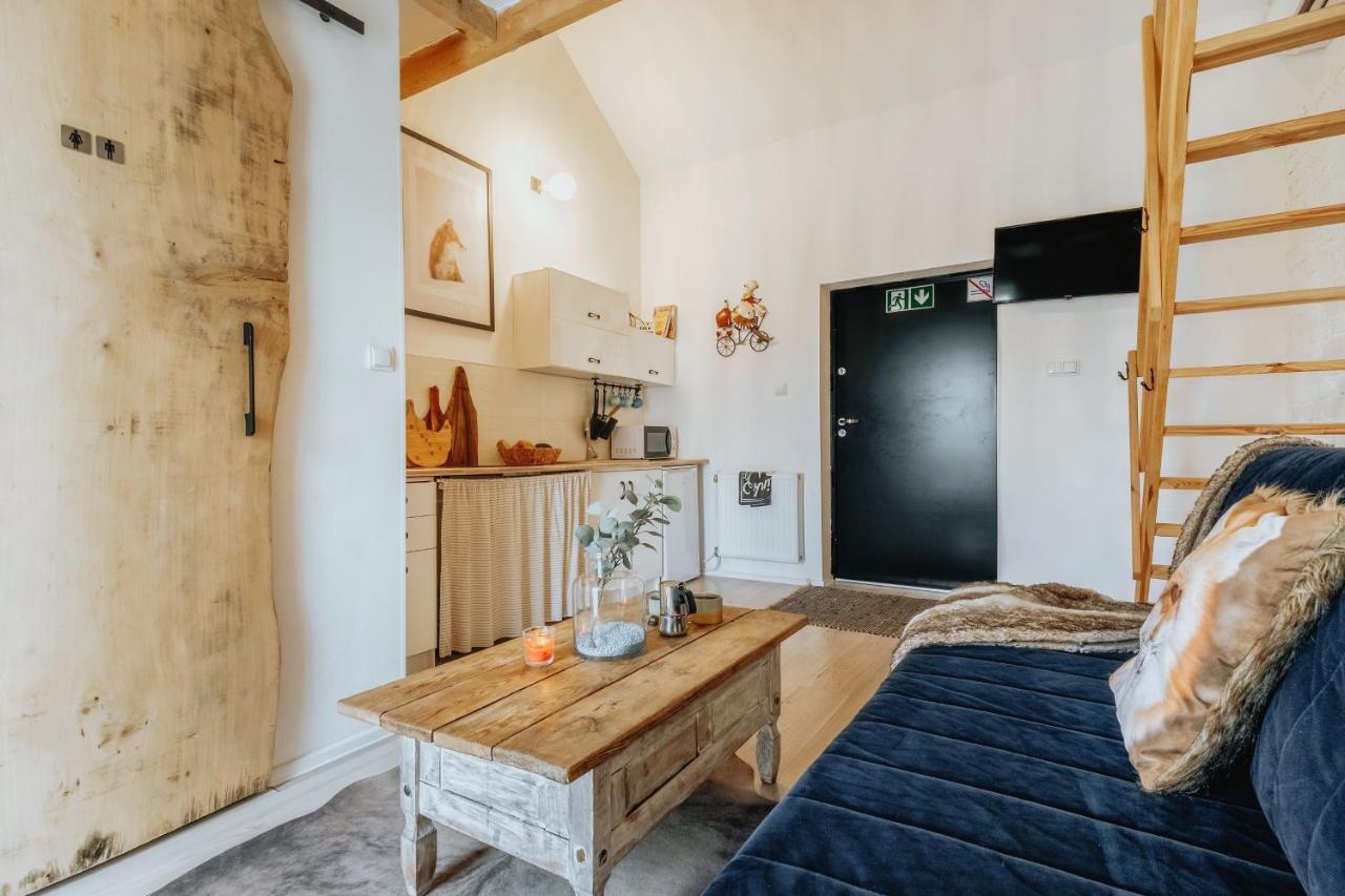 Apartament z antresola dla dzieci Okszow Esterno foto